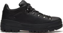 Mens Low Lace UP GTX Hiking Boot