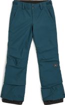 Star Regular Snow Pants