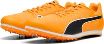 Evospeed Star 9