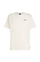 O'neill Small Logo T-shirt