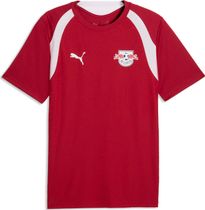 Puma Fcsp Shorts Replica Jr Outdoor Shorts