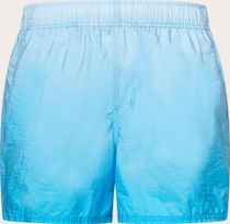Gradient 16'' Beachshort