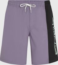 O'neill Retro 19" Swimshorts