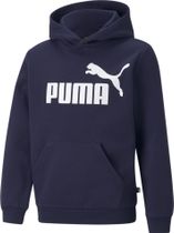 Essentials Big Logo Hoodie FL B