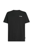 O'Neill O'neill Polygiene Cotton Graphic T-shirt