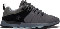 Mens Low Lace UP Sneaker