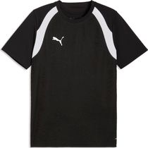 Puma Teamadditions Training All Weather Jacket Herren Hardshelljacke