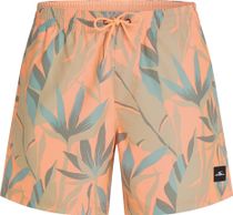 O'Neill O'neill Print 16'' Swimshorts