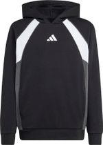 adidas Color Block Hoodie