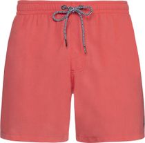 Protest Davey Beachshort
