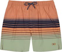 Barts Amadouc Shorts