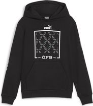 öfb Ftblicons Hoody Jr