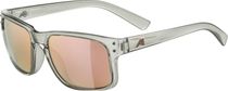 Alpina Kosmic Bike Brille