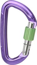 Session Screw Gate