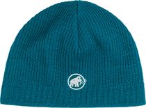 Sublime Beanie
