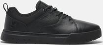 Mens Low Lace UP Sneaker