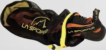 Shoe Bag