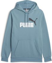 Essentials+ 2 Col Big Logo Hoodie FL