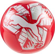 Puma BIG CAT Ball
