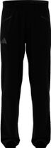 adidas Terrex Xperior Pro CLIMA365 Pants Herren  Outdoorhose