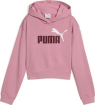 Essentials 2 Color No. 1 Logo Short Length Hoodie TR G