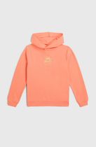 O'neill Back Print Hoodie