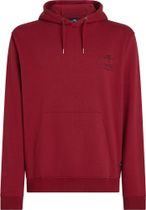 O'Neill Must-have Hoodie
