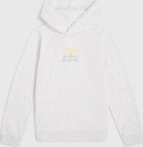 O'neill Back Print Hoodie