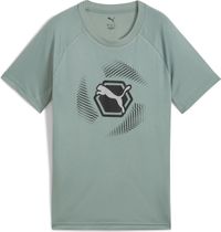 Active Sports Graphic Poly Tee B