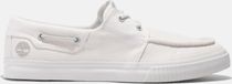 Mens Low Lace UP Sneaker