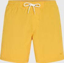 O'neill Vert 16'' Swimshorts