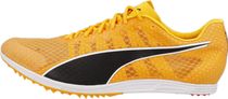 Evospeed Distance 11