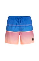 O'neill Gradient 15'' Swimshorts