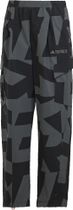 Terrex Xploric Printed Cargo Pants