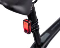 Lupine Rotlicht Pro Stvzo