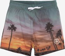 Swim Shorts Photo AOP 720287