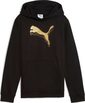 Essentials Metallic Hoodie FL G