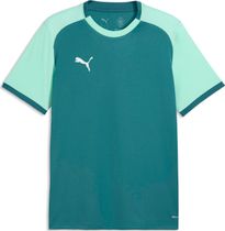 Puma teamFINAL26 Socks Herren Sportsocken