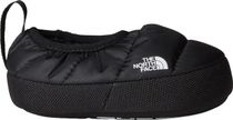 Baby Tent Mule