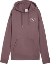 Puma Class Relaxed Hoodie FL