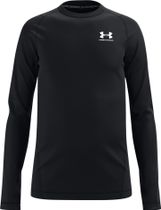 CG Armour LS