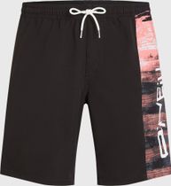 O'neill Retro 19" Swimshorts
