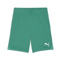 Teamgoal Shorts
