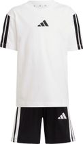 adidas Essentials T-shirt SET