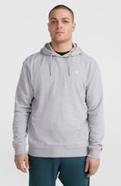 O'neill Small Logo Hoodie