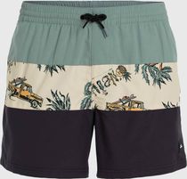 MIX & Match Cali Block 15'' Swim Shorts