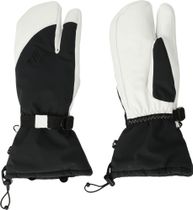 Whistler Balint 3 Finger Leather Ski Gloves Unisex Handschuhe