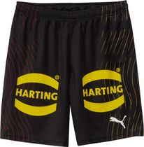 DHB Shorts With Sponsor