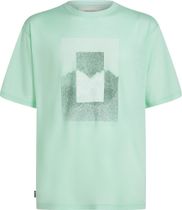 Icebreaker Men Merino 150 Tech Lite Short Sleeve Relaxed Tee Mountain Shift Men's Running Shirt