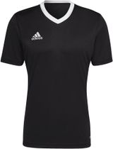 Entrada 22 Jersey